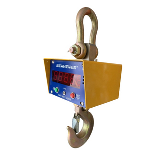 10 Ton Electric Industrial Weighing Crane Scale-Hener Scale