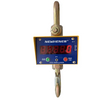 10 Ton Crane Weighing Scale-Hener Scale