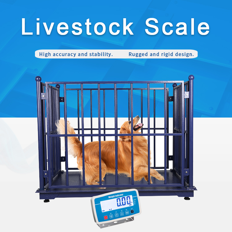 Platform Floor Scale - Hener